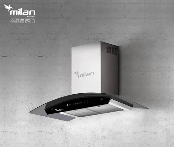 هود شومینه ای میلان برنز (Milanbronze) مدل ماتیسا استیل (MATISA STEEL) هود شومینه ای میلان برنز (Milanbronze) مدل ماتیسا استیل (MATISA STEEL)